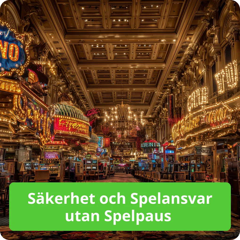 Säkerhet och Spelansvar utan Spelpaus 